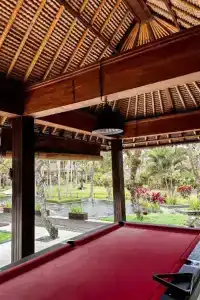 The Ubud Village Resort & Spa - 26