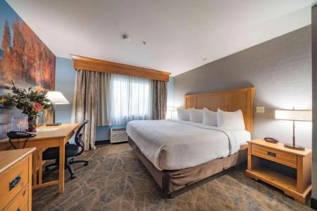 Best Western Plus GranTree Inn - 103