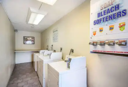 Clarion Inn & Suites Central Clearwater Beach - 28