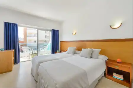 Vibra Palma Cactus - 12