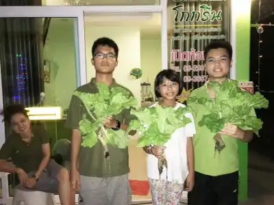 Go Green Resort - 10