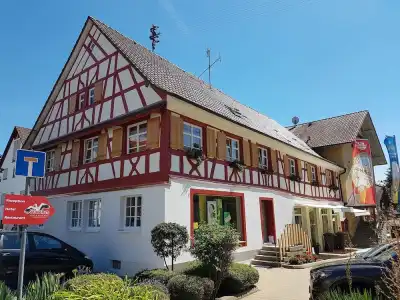 Bodensee Storchen - 1