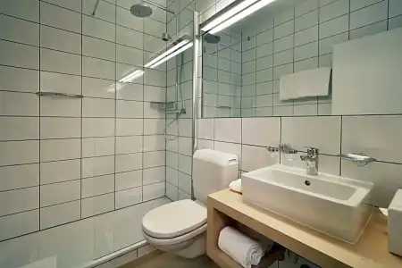 Hôtel des Alpes - 29