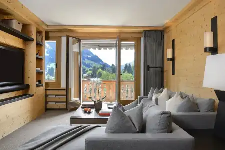 Park Gstaad - 53