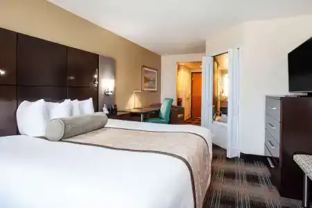 Wingate by Wyndham - Orlando International Airport - 4