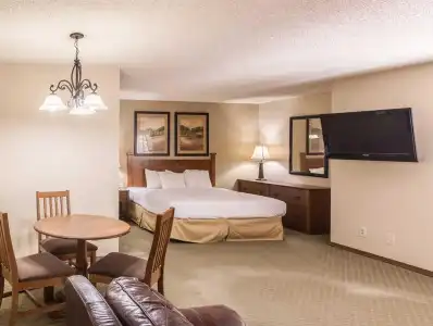 Quality Inn & Suites Plano East - Richardson - 73