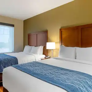 Comfort Inn & Suites near Ontario Airport - 42