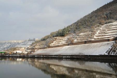 Mosel& Restaurant Zur Traube Gmbh - 42