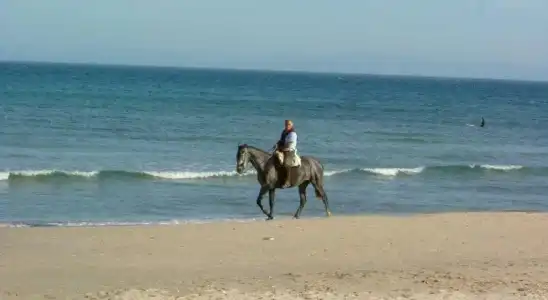 Chillout Tres Mares - 16