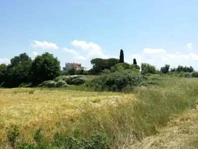 Villa Lavinia - 16