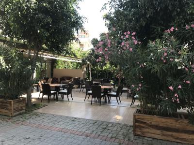 Narcis Apart - 14