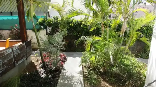 Colibri Beach Villas - 37