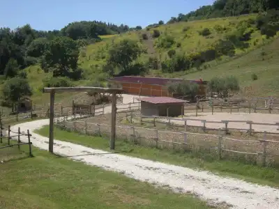 Agriturismo Goccia di Luna - 7