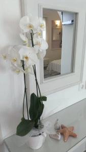 Cyclades Studios - 12