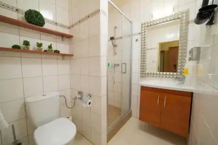 Spa Resort PAWLIK-AQUAFORUM - 69