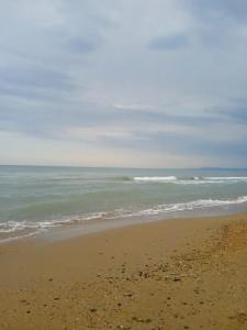 База отдыха Бригантина - 21