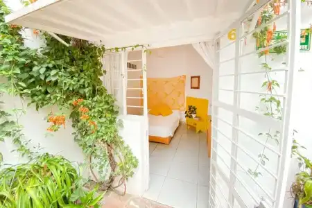 Casa Canario Hostel - 57