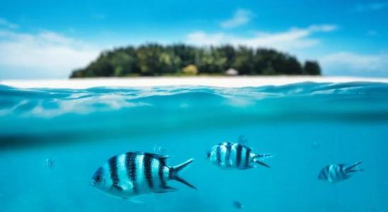 Next Paradise Boutique Resort - 26