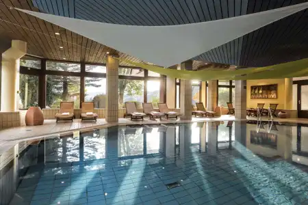 Maritim TitiseeTitisee-Neustadt - 27