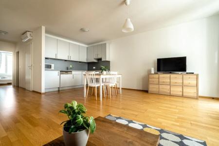Business & Family Ambiente Apartments - 19