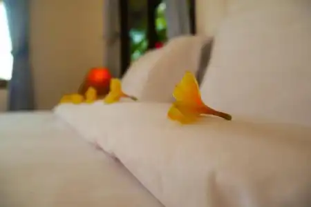 Zama Resort - 91