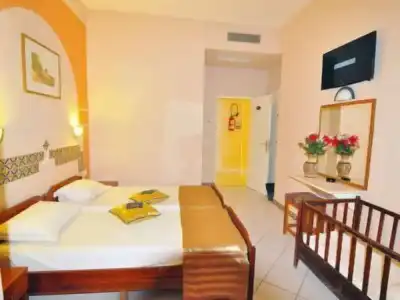 Hôtel Les Palmes d'Or - 43