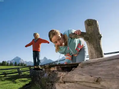 Mountain Chalet With Garden & Parking in Grindelwald - 6