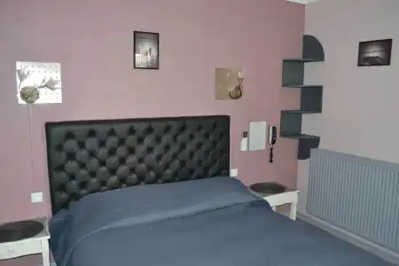 Hôtel Le Dauphin Bleu - 71