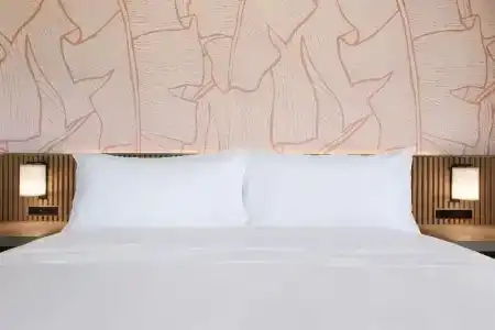The Ambassador of Waikiki, Tapestry Collection by Hilton - 103