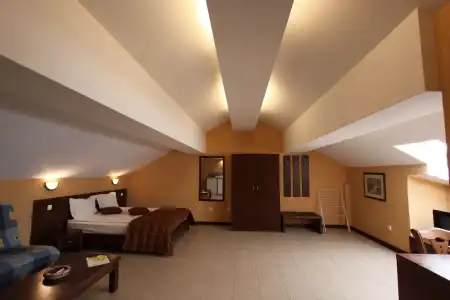 Asti Arthotel - 2