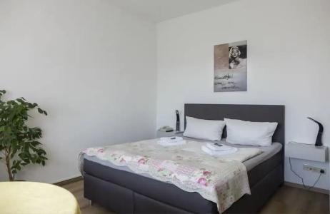 PanoramaLilienstein - 105