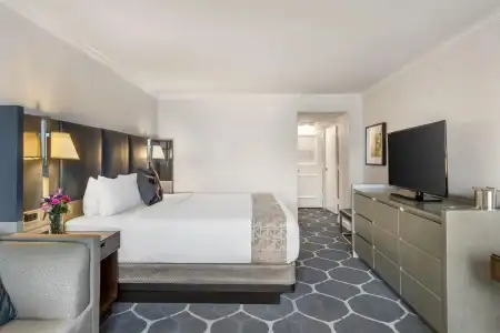 The Royal Sonesta Houston Galleria - 48