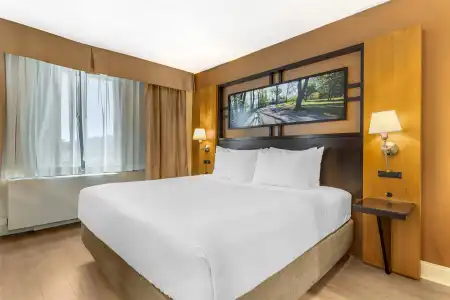 Best Western Queens Gold Coast - 41