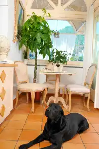Villa Mary Suites - 4