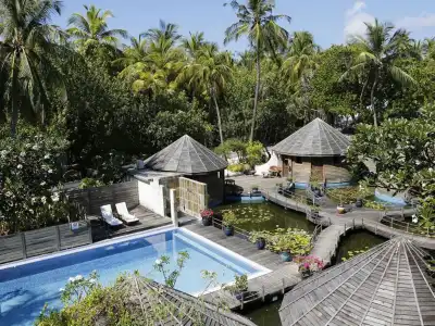 Nika Island Resort & Spa - 12