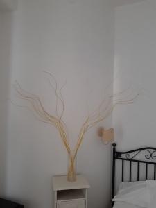 Andromaco Palace - 62