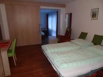 Hotel-Gasthof Unterwirt - 34