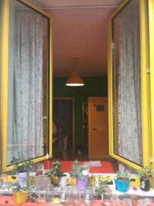 Eco Hostel Floreale - 48