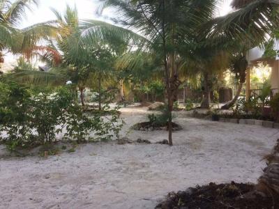 Mpole Bungalows - 14