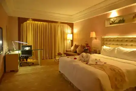 Vili International - 15