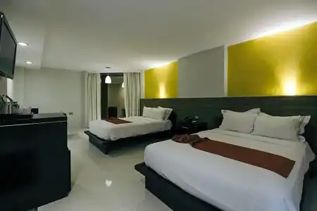 El Español Paseo de Montejo - 49