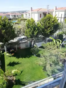 Lupa Alacati - 24
