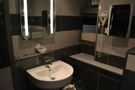 Hôtel Le Dauphin Bleu - 38