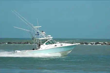 Silvaion - 15