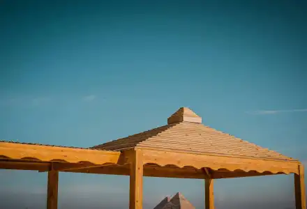 Desert Moon - 16