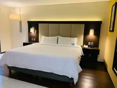 Holiday Inn Express Mexico Basilica by IHG - 60