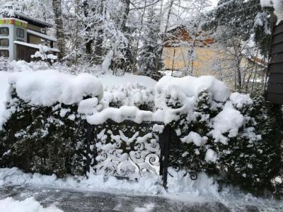 Alte Schmiede - 9