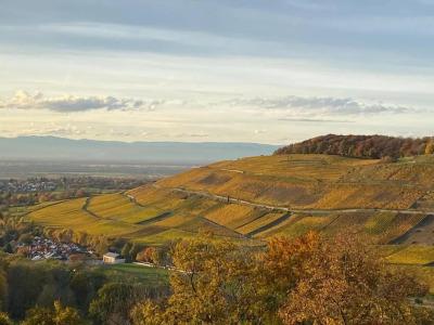 Das Schlossberg - Boutique im Park- Nahe der Therme - 74