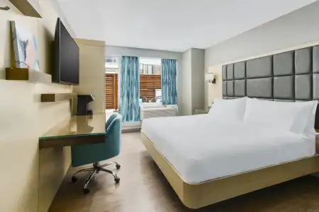 Hilton Garden Inn New York Times Square North - 34
