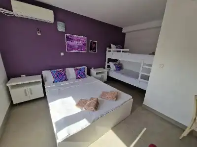 Flamingo Resort - 25